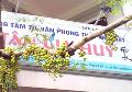 Trung tâm tư vấn phong thủy nhà đất Tân Gia Huy