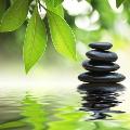 Nghệ thuật chơi đá - Ngoạn thạch